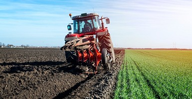 Mezőgazdasági biztosítás